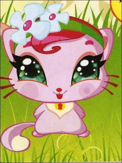 L'animal magique de Flora est Coco :