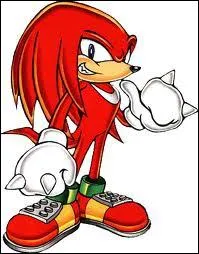 Qui est ami et rival  la fois avec Sonic ?