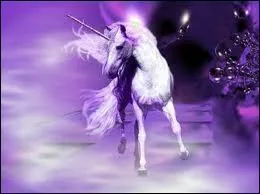 De quelle race est ce cheval ?