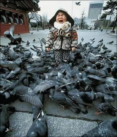 Ces pigeons des villes, encerclant cet enfant en larmes, sont des ...