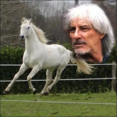 Passionn d'quitation, il aborde le thme des chevaux souvent dans ses chansons. Dans laquelle de ses chansons est-il question de la mort d'un cheval de course ?