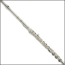 Comment s'appelle cet instrument ?