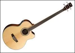 Quel est cet instrument de musique ?