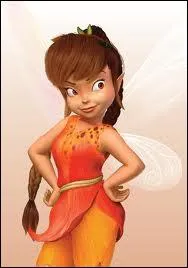 Qui aime beaucoup les animaux ?