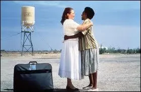 Le rservoir d'eau en arrire-plan est facilement identifiable. Quel film se droule le long de la Route 66 dans une zone dsertique prs de Las Vegas ?