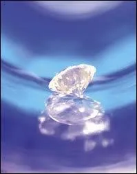 Monsieur et madame Chmonfils ont deux fils ...