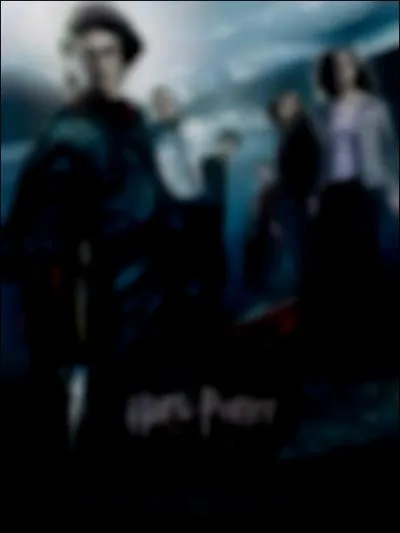 Que peut-on voir sur la couverture du DVD Harry Potter et la Coupe de Feu ?