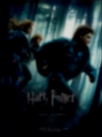 Que peut-on voir sur la couverture du DVD Harry Potter et les Reliques de la Mort, Partie 1 ?