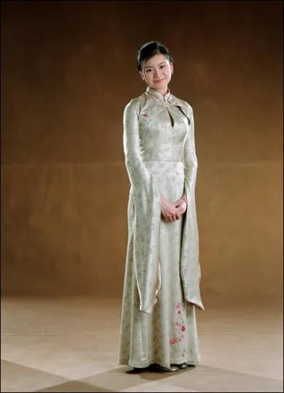 Dans quel film voit-on Cho porter cette robe ?