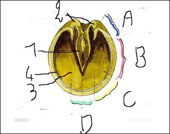 Comment se nomme la partie 1 ?