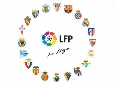 En championnat d'Espagne de football 2006-2007 le meilleur buteur tait :