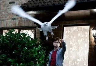 Hedwige est morte en voulant protger Harry, mais qui lui a lanc le sort mortel ?
