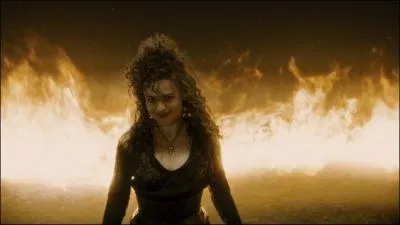 Quel membre de la famille Weasley a tu Bellatrix Lestrange ?
