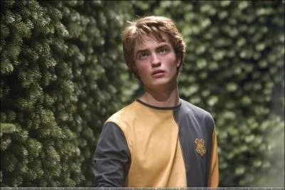 A qui Voldemort donne-t-il l'ordre de tuer Cedric Diggory ?