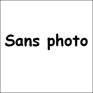 Qui a cr ce groupe des charpes jaunes ?