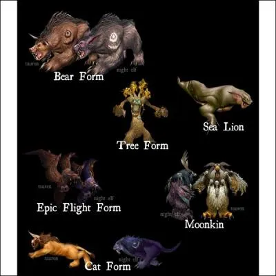 Quelle classe a la capacit de se transformer en plusieurs animaux ?