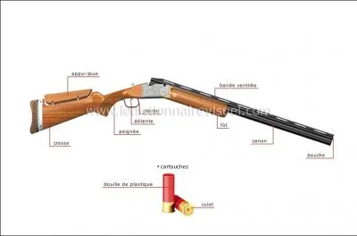 A quoi sert la pice appele  chien  sur une arme  feu ?