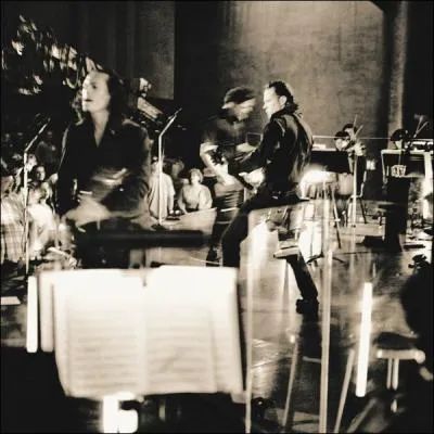 Quelle(s) chanson(s) crivent-ils pour le concert symphonique  S&M  ?