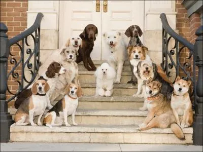 Quel est ce film amricain sorti en 2009 ?