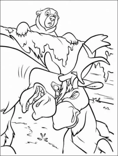 Et l'lan, de quelle couleur est-il ?