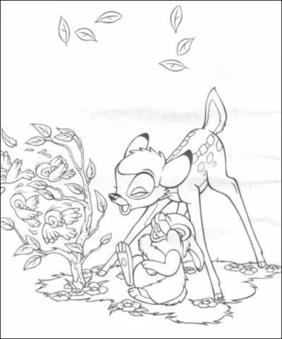 De quelle couleur sont les tâches de Bambi ?