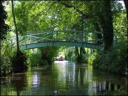 Voil une belle image du Marais poitevin, 'la Venise verte', o le situez-vous ?