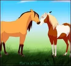 Comment s'appellent ces chevaux ?