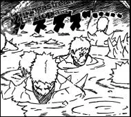 Combien de Zetsu y a-t-il environ ?