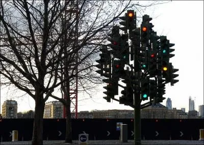 O se trouve le vrai arbre ?