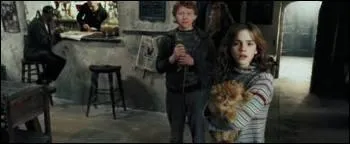 Dans quel film voit-on Hermione ainsi ?