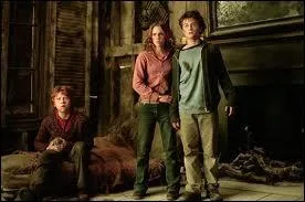 Dans quel film voit-on Hermione avec Harry et Ron dans cette scne ?