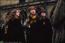 Dans quel film voit-on Hermione en compagnie de Ron et Harry, ainsi ?