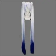 A quel personnage de manga appartient cette perruque ?