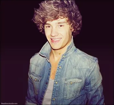 Selon Louis, dans une Vido Diary, Liam est :