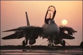 Combien de racteurs possdent les avions F-14 du film  Top Gun  ?