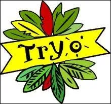 Combien de membres composent le groupe  Tryo  ?