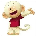 Comment s'appelle le petit singe d'Equideow ?