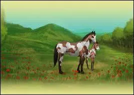 Qu'est-ce qu'on gagne  la fin des qutes ?