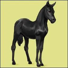 A quel ge une jument peut-elle avoir un poulain ?