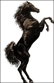 Si l'on fait comme lui, c'est ma ...