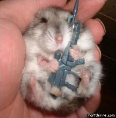 Quel est cet animal ?