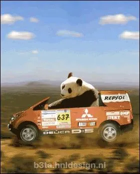 Quel est cet animal ?