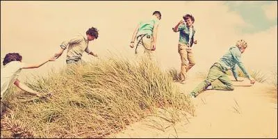 Quels membres des One Direction ont une petite amie ?