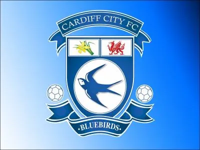 Il joue avec Cardiff City :