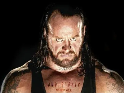 Dans quel sport s'illustre Undertaker ?