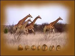 On m'appelle une ou un...