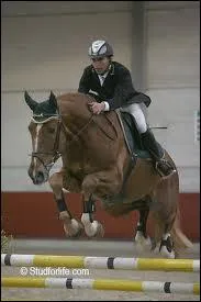 Quelle est la discipline o le cheval doit sauter des barres ?
