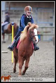 Que fait-on quand le cheval ne rpond pas  nos jambes ?