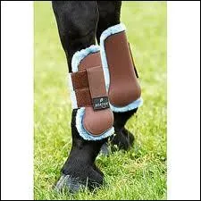 Parmi ces protections, lesquelles n'existent pas ?