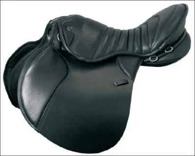 Quelle sorte de selle est-ce ? Indice : cette selle a une surface lgrement ondule et est confortable.